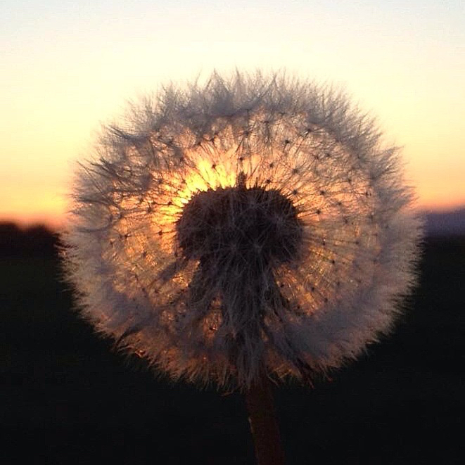 Ik hoor er niet meer&nbsp;bij