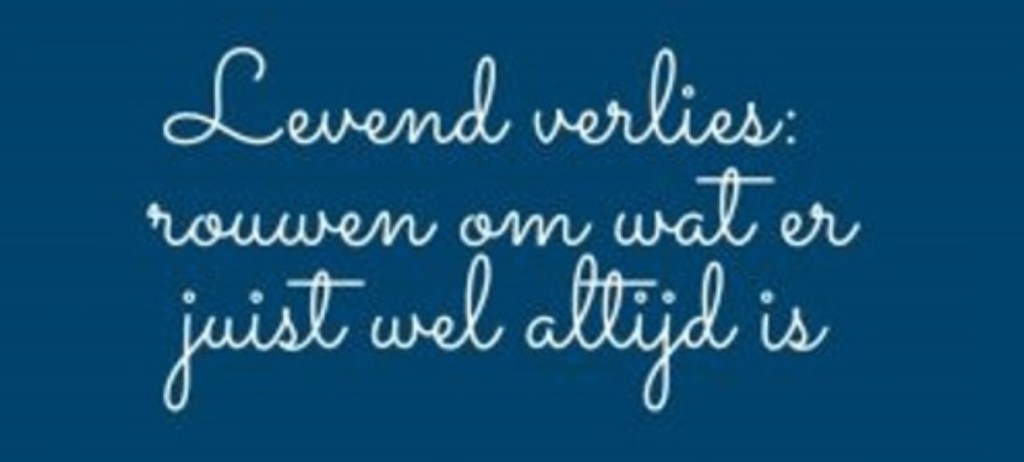 Twaalf tips voor mijn&nbsp;omgeving